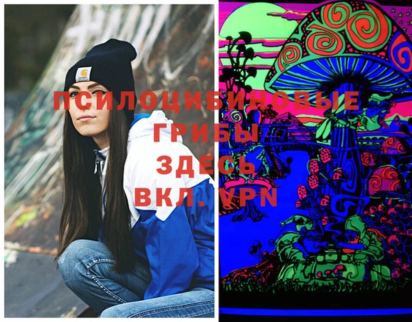 jwh Карпинск