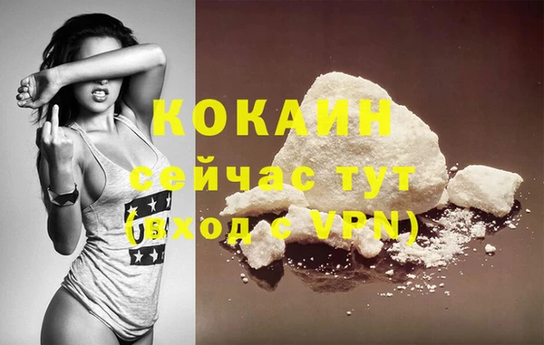 jwh Карпинск