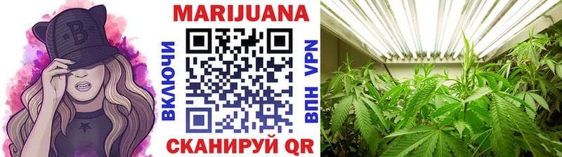 Бошки марихуана сатива  Купить где  Северо-Курильск 